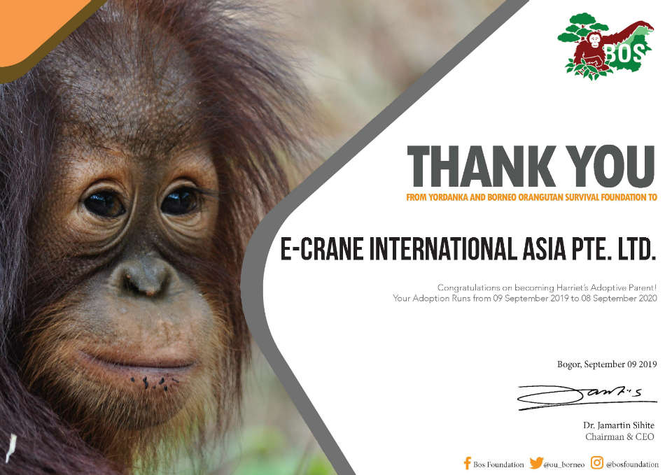 E-Crane Asia Welcomes Harriet To The Family! 2 Harriet Cert